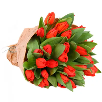 Купить букет из 15 тюльпанов «Красные тюльпаны в крафте», цены на  Мегамаркет | Артикул: 100043691378