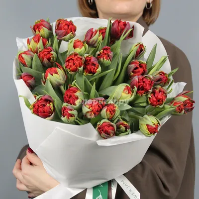 Купить красные тюльпаны дешево, доставка по Москве круглосуточно.