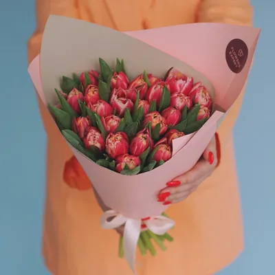 Тюльпаны красные купить оптом в СПб недорого ✿ Оптовая цветочная компания  СПУТНИК