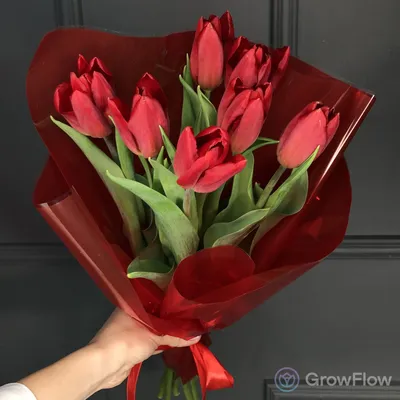 Красные тюльпаны - купить с доставкой в Омске - LAVANDA