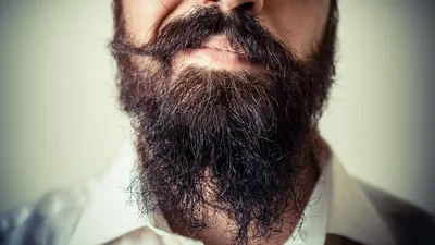 Ученые узнали, зачем мужчины растят бороды
