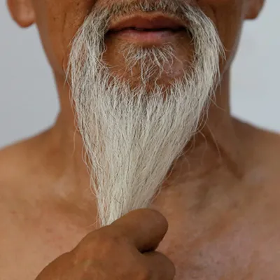 Виды бороды: подберите оптимальный тип и форму для себя