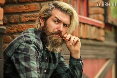 Настоящие волосы мужская борода - купить по низкой цене в интернет-магазине  OZON (1244225728)