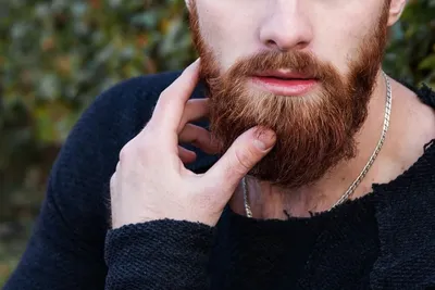 Шкиперская борода: особенности, фото, как сделать форму - Braun-Shop