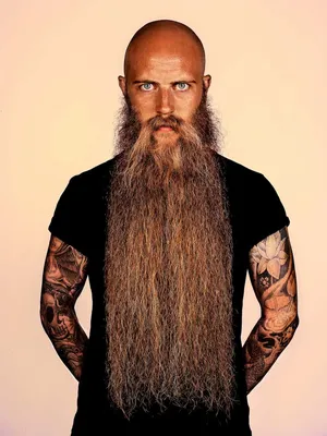 Окольцовывающая голову борода стала трендом у мужчин: Внешний вид:  Ценности: Lenta.ru