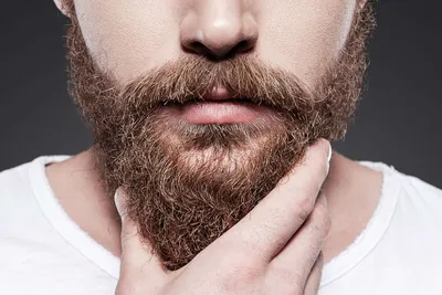 Борода у мужчин: чем борода привлекает женщин?