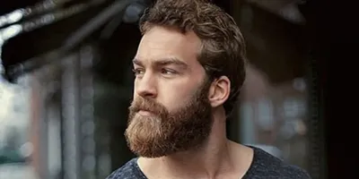 7 ответов на самые волнующие вопросы о бороде - Лайфхакер