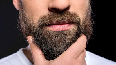 Картинки борода (41 лучших фото)