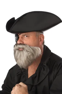 Борода Капитана Пиратов k70097 купить в интернет-магазине - My-Karnaval.ru,  доставка по России и выгодные цены