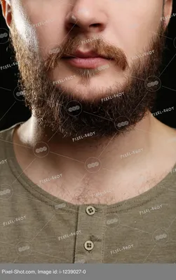 Крупным планом длинная борода и усы человек на темном фоне :: Стоковая  фотография :: Pixel-Shot Studio