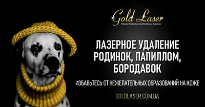 Антицеллюлитный массаж цена от 2500 руб. Москва м.Белорусская (Клиника  ТРИНИТИ)