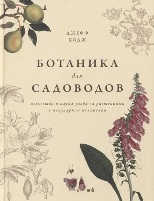 File:Botanika dla klas nizszych szkol srednich - atlas 1913 (107392333).jpg  - Wikimedia Commons