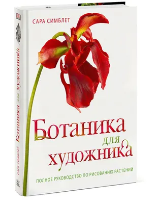 БЦ Botanica (Ботаника) – аренда и продажа помещений, офисов в Бизнес Центре  Botanica (Ботаника), Москва, ул. 1-я Леонова, 18 – Коммерческая  недвижимость ЦИАН