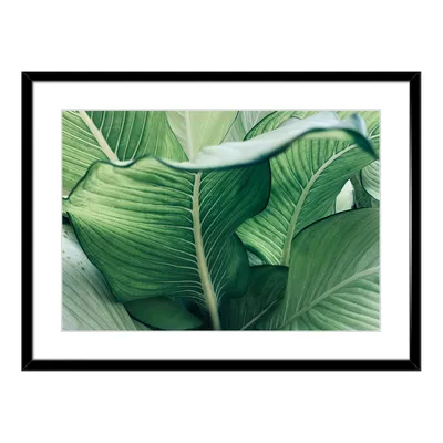 Kafe Botanika with cactus and plants in Gernikako Arbola Pasealekua, San  Sebastian, Donostia, Basque Country, Spain Stock Photo - Alamy