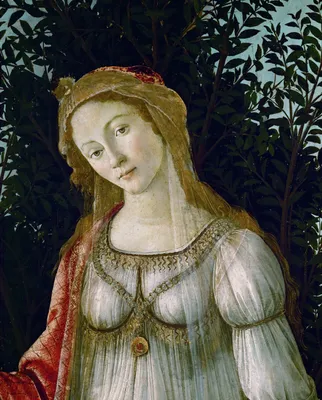 Сандро Боттичелли - Весна (Примавера). Деталь: Венера, 1482: Описание  произведения | Артхив