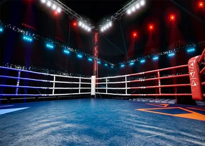 Amazon.com : BELECO 7x5ft Fabric Boxing Backdrop Boxing Ring Boxing Arena  Stage Lights Sport Photo Background Boxing Party Decorations Birthday Baby  Shower Cake Table Decor Kids Photoshoot Photo Studio Props : Electronics