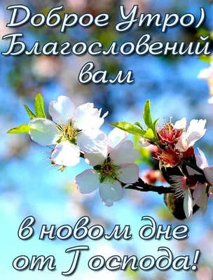 С добрым утром,мои божественные ! Я приветствую каждого из вас в новом дне  !🥰🌈🥰 Жизнь быстротечна,радуйтесь каждому дню! Любитe ceбя.… | Instagram