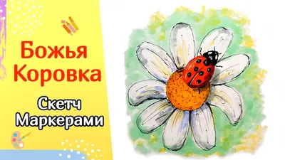 Скачать обои природа, поляна, божья коровка, ромашки, nature, ladybug,  chamomile, Polyana, раздел природа в разрешении 1920x1200