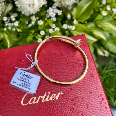 GevArm Jewelry - Стильная и популярная модель унисекс браслета Cartier  гвоздь и браслет Cartier Love может быть выполнен из белого и красного  золота.Этот узнаваемый ювелирный браслет Картье гвоздь — будет отличными  подарком