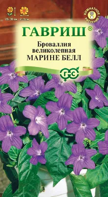 Купить семена Броваллии Сильвер Белл в нашем магазине по Лучшей цене