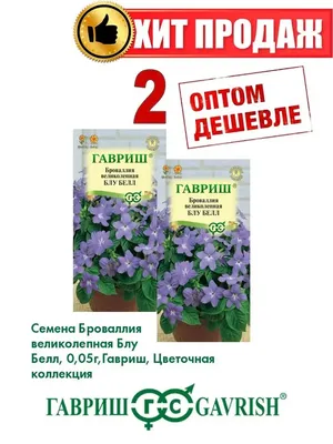Семена комнатных цветов Броваллия и Герань, бегония и др Гавриш 25874897  купить в интернет-магазине Wildberries