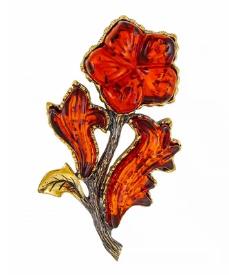 Знакомьтесь — броваллия! 12 шагов, как вырастить из семян красивый  неувядающий цветок для дачи и дома | Дача - это маленькая жизнь | Дзен