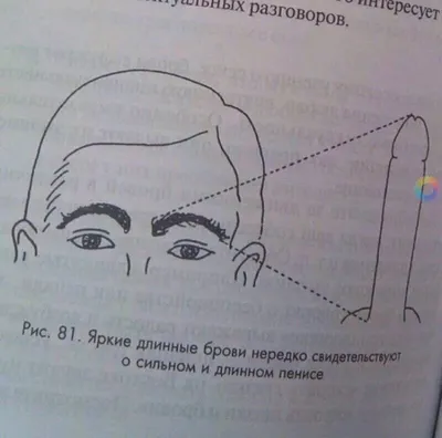 Брови: истории из жизни, советы, новости, юмор и картинки — Все посты |  Пикабу