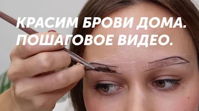 Брови