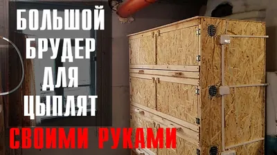 Простой БРУДЕР для цыплят СВОИМИ РУКАМИ в 3 этажа. Изготовление, освещение  в самодельном брудере. - YouTube