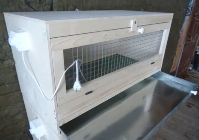 Brooder with thermostat for 50 chickens. - YouTube