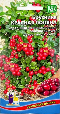 Осень и зима на нашей улице, по народному календарю — Ураловед