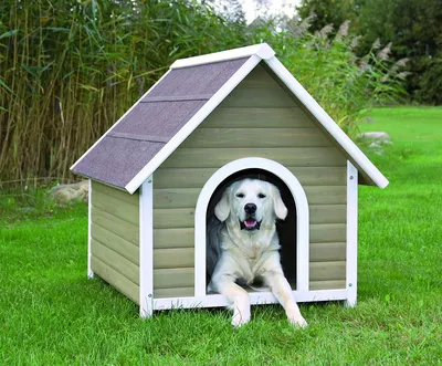 Домик будка для собаки (1312) фото, размеры и описание