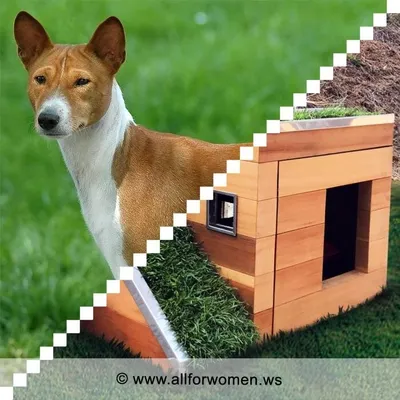 Будка для собаки (ID#1685438802), цена: 3800 ₴, купить на Prom.ua