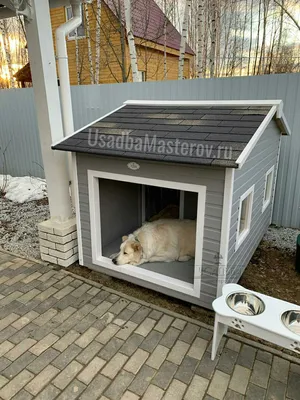 Будка «Зиген» - Заказать в Актау | Доставка | Dog Comfort