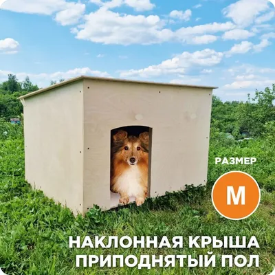 Утепленная и отапливаемая будка для собаки