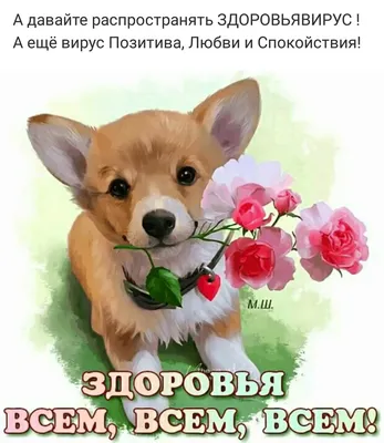 ДОБРОЕ УТРО! 🦋☀🍎💐🌞🌿🍎☀🦋 БУДЬТЕ ЗДОРОВЫ! 💗 | Доброе утро, Смешные  открытки, Здоровый