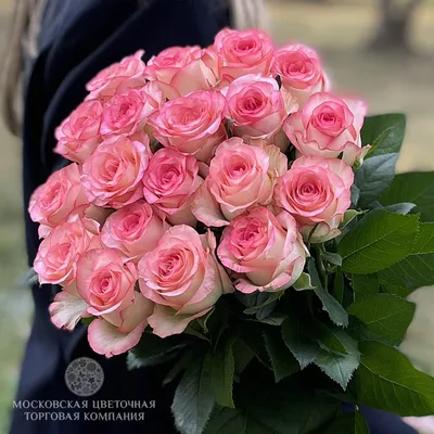 Букет 19 роз Джумилия купить за 3820 руб. с круглосуточной доставкой |  Мосцветторгком
