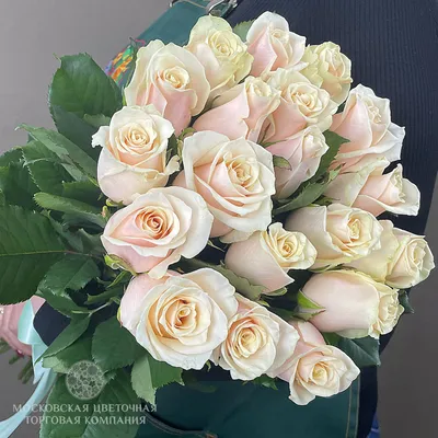Букет из 19 розовых роз Аква | Juli