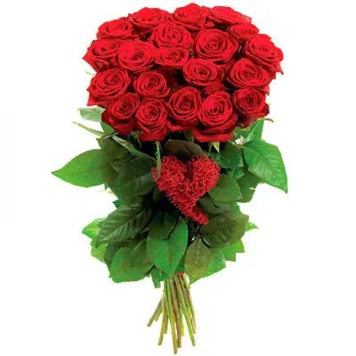 19 красных роз 40 см | купить недорого | доставка по Москве и области