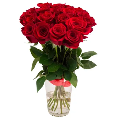 Заказать 19 красных роз в Минске с доставкой