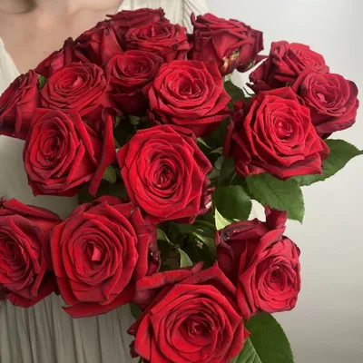 Заказать Букет \"19 роз Бордо\" | Цветули - уникальный сервис по доставке  цветов без накруток и посредников в городе Москва