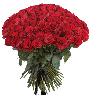 Траурный букет из живых цветов \"50 бордовых роз\"– купить в  интернет-магазине, цена, заказ online