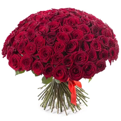 Букет из 101 красной розы 50 см - купить в Москве по цене 9190 р - Magic  Flower