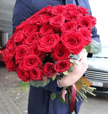 Розы : Букет № 1051 из 51 красной розы (50 см.)