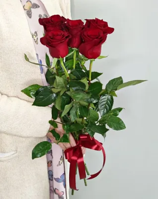 19 красных роз 50 см | доставка по Москве и области