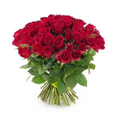 Букет из 50 роз (Madam Red) - 50 см - Цветочный Маркет 24 в Видном