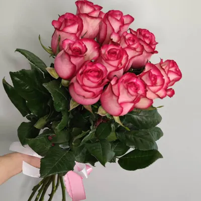 15 красных роз (50 см) - заказ и доставка по Челябинску
