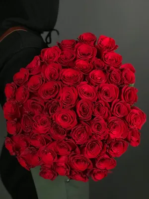 Купить Букет из 55 роз Эквадор Freedom в оформлении в Томске - доставка  цветов МАКИ