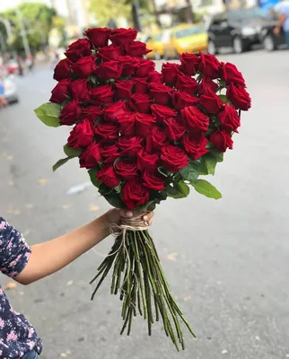 Купить букет из 55 роз с зеленью в Томске - доставка цветов MAKI
