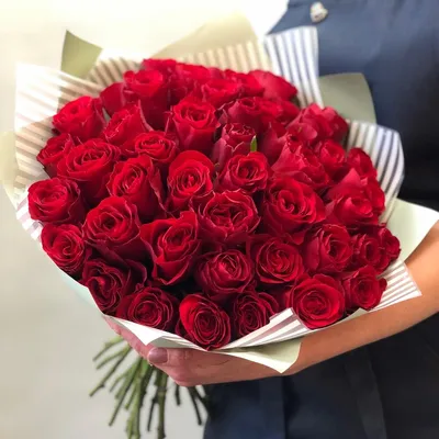 Букет 55 красных роз Эквадор 60см в ленте купить в Новосибирске | «Первый  цветочный Новосибирск»